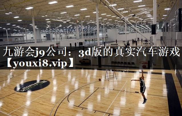 九游会j9公司：3d版的真实汽车